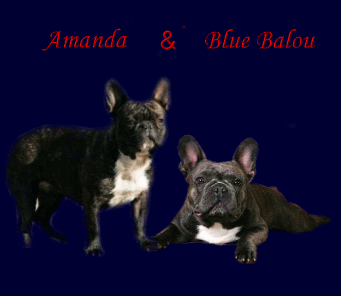 Amanda und Blue Balou