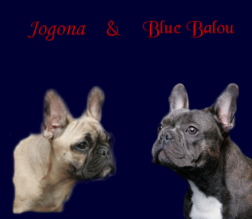 Jogona und Blue Balou