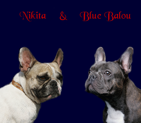 Nikita und Blue Balou