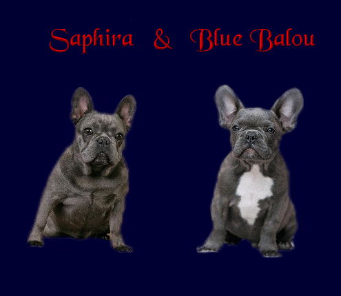Saphira und Blue Balou